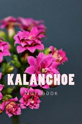Kalanchoe: 150 page lined notebook