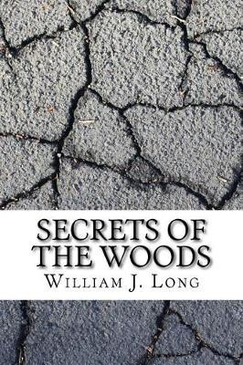 Secrets of the Woods