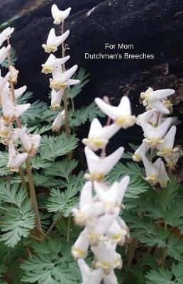 For Mom Dutchman's Breeches: Journal