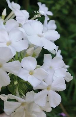 For Mom Phlox: Journal