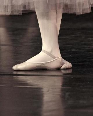 Ballet Shoes for a Ballerina: Journal/Notebook/Diary