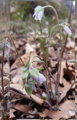 For Mom Hepatica: Journal