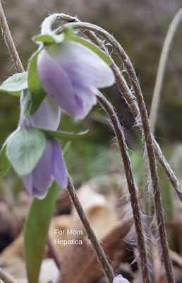 For Mom Hepatica: Journal