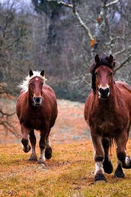 See the Pretty Horses Heading Your Way Equine Journal: 150 Page Lined Notebook/Diary