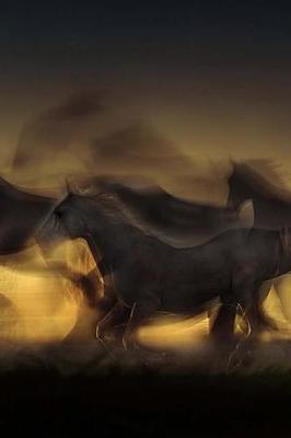 Horses: Journal / Notebook 150 Lined Pages