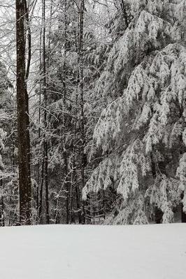 Beautiful Winter Season Journal: (notebook, Diary, Blank Book)