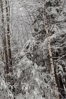 Pretty Winter Journal: (notebook, Diary, Blank Book)