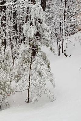 Pretty Winter Scene Journal: (Notebook, Diary, Blank Book)