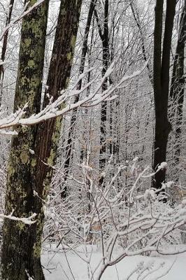 Winter Season Journal: (Notebook, Diary, Blank Book)