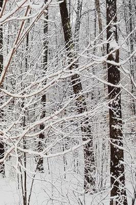 Winter Season Journal Woods: (Notebook, Diary, Blank Book)