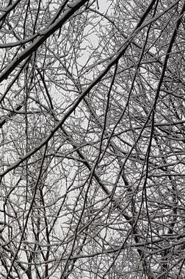 Winter Season Journal Snowstorm Effect: (Notebook, Diary, Blank Book)