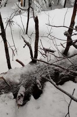 Winter Season Journal Snow Scene: (Notebook, Diary, Blank Book)