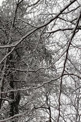 Winter Season Journal Scenic Branches: (notebook, Diary, Blank Book)