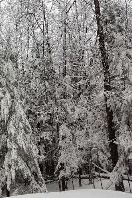 Winter Season Beautiful Journal: (notebook, Diary, Blank Book)