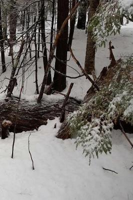 Winter Journal Snowy Woods: (Notebook, Diary, Blank Book)