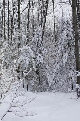 Winter Journal Snowy Woods Photo: (notebook, Diary, Blank Book)