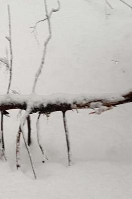 Winter Journal Snow Covered Branch: (Notebook, Diary, Blank Book)