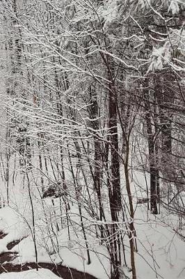Winter Journal Scenic Snowstorm: (notebook, Diary, Blank Book)