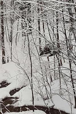Winter Journal Scenic Snow Stream: (notebook, Diary, Blank Book)