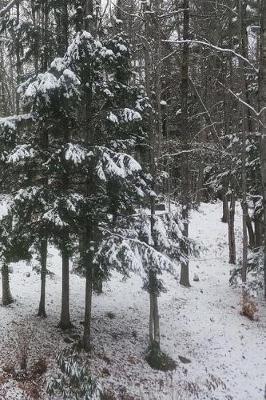 Winter Journal Pretty Snowstorm: (Notebook, Diary, Blank Book)