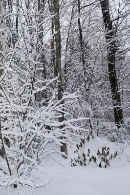 Winter Journal Pretty Scene: (Notebook, Diary, Blank Book)