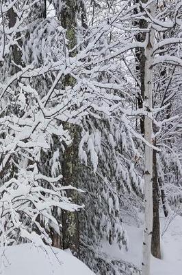 Winter Journal Beautiful Forest: (notebook, Diary, Blank Book)