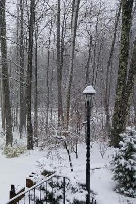 Winter Day Journal Cold Snowy: (Notebook, Diary, Blank Book)
