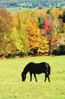 Journal Grazing Black Horses In Autumn Equine: (Notebook, Diary, Blank Book)