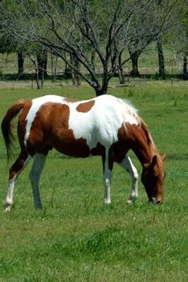 Journal Grazing Chestnut Pinto Equine Horses: (Notebook, Diary, Blank Book)