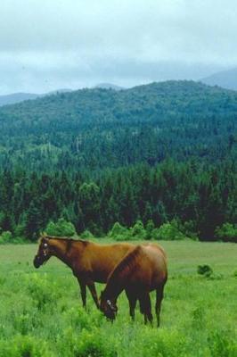Journal Grazing Horses Mountain Backdrop Equine: (Notebook, Diary, Blank Book)