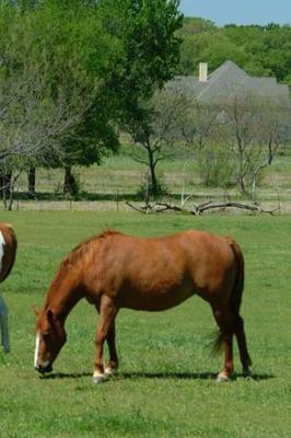 Journal Grazing Horses Scene Equine: (Notebook, Diary, Blank Book)