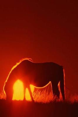 Journal Horse Red Sunset Equine: (Notebook, Diary, Blank Book)