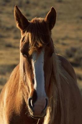 Journal Horse Western Background Equine: (notebook, Diary, Blank Book)