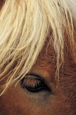 Journal Horse White Mane Equine: (notebook, Diary, Blank Book)