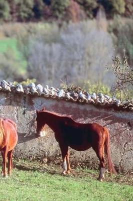Journal Horses Pasture Equine: (notebook, Diary, Blank Book)