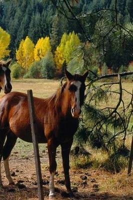 Journal Horses Yellow Fall Trees Equine: (notebook, Diary, Blank Book)