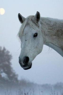 A Wonderful White Horse Portrait Journal: 150 Page Lined Notebook/Diary