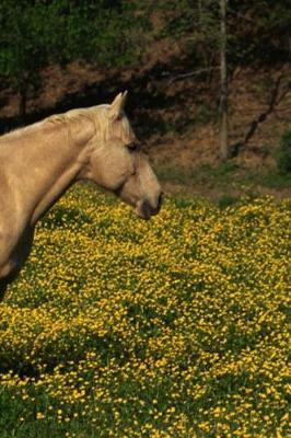 Journal Palomino Yellow Flowers Equine Horse: (Notebook, Diary, Blank Book)