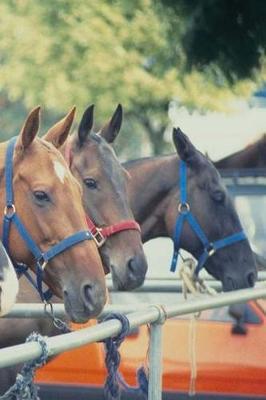 Journal Polo Pony String Equine Horses: (Notebook, Diary, Blank Book)