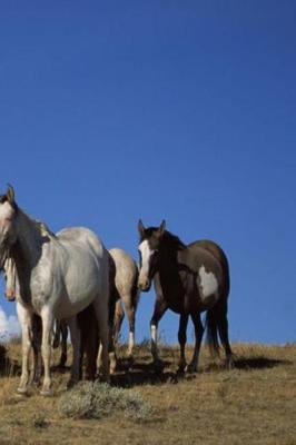 Journal Standing Horses Western Pasture Equine: (notebook, Diary, Blank Book)