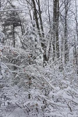 After Snowstorm Winter Weather Journal: (notebook, Diary, Blank Book)