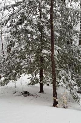 Beautiful Winter Picture Journal: (Notebook, Diary, Blank Book)