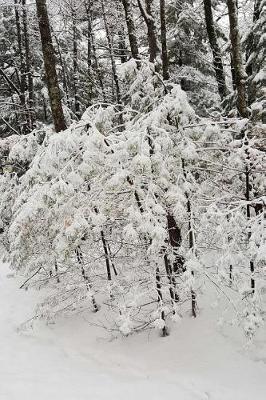 Journal Beautiful Winter Photography: (notebook, Diary, Blank Book)