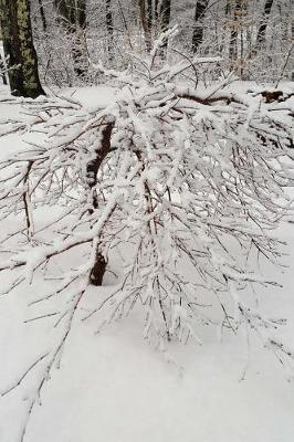 Journal Overcast Winter Afternoon: (notebook, Diary, Blank Book)