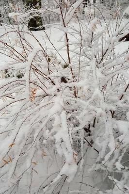 Journal Overcast Winter Morning: (Notebook, Diary, Blank Book)