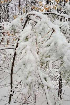 Journal Pretty Winter Photography: (notebook, Diary, Blank Book)