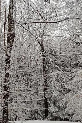 Journal Pretty Winter Picture: (notebook, Diary, Blank Book)