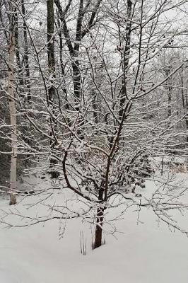 Journal Scenic Winter Storm: (Notebook, Diary, Blank Book)