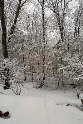 Journal Scenic Winter Weather Photography: (Notebook, Diary, Blank Book)