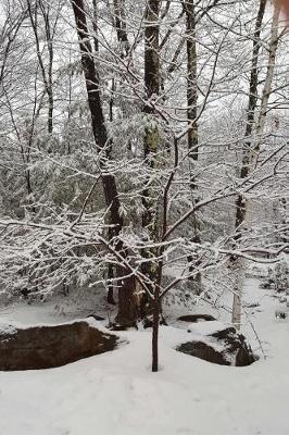 Journal Scenic Winter Weather Picture: (Notebook, Diary, Blank Book)